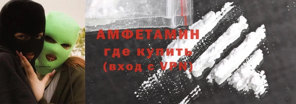 гидра Надым