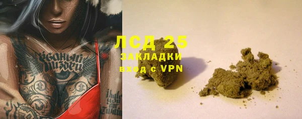 индика Наволоки