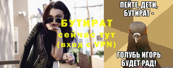 гидра Надым