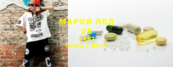 гидра Надым