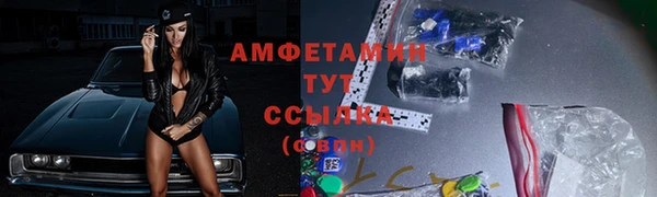 индика Наволоки