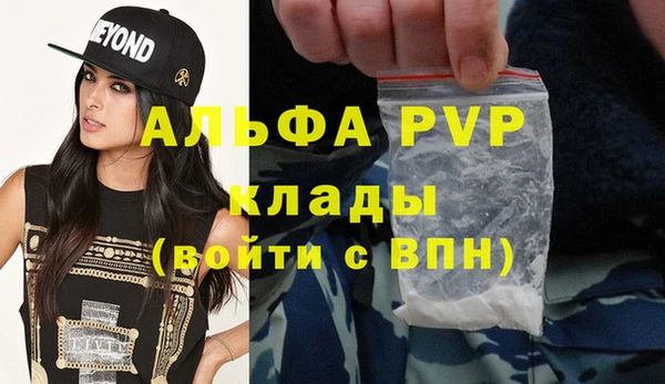 гидра Надым