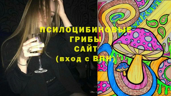 индика Наволоки