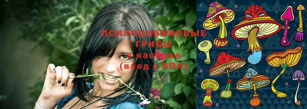 индика Навашино