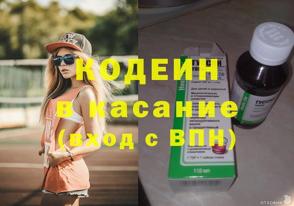 гидра Надым