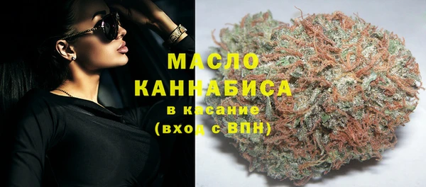 индика Наволоки
