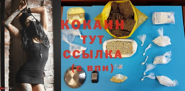 гидра Надым
