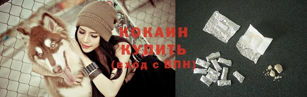 индика Наволоки
