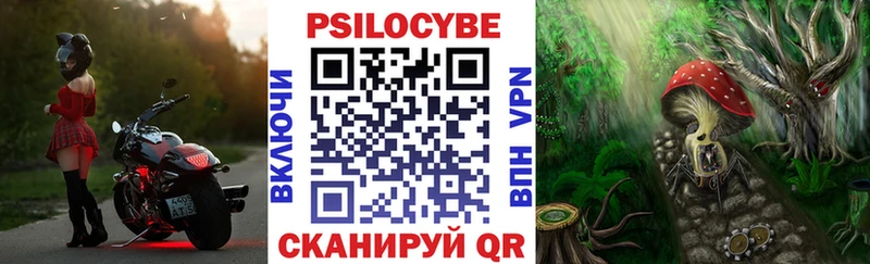 hydra tor  Ильский  Псилоцибиновые грибы мицелий 